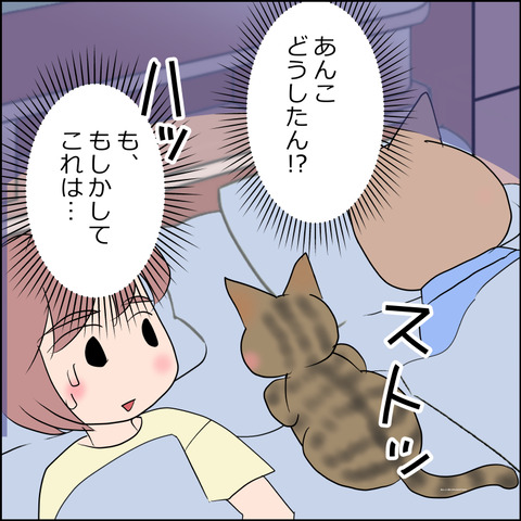 あんこ＆麦STORY2466b