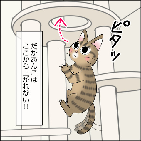 あんこ＆麦STORY1763c