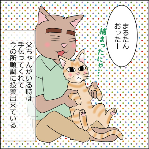 あんこ&麦kenko161d