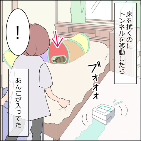 あんこ&麦STORY2329a