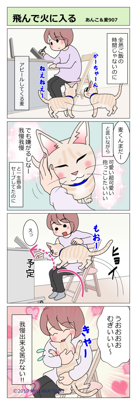あんこ&麦STORY907
