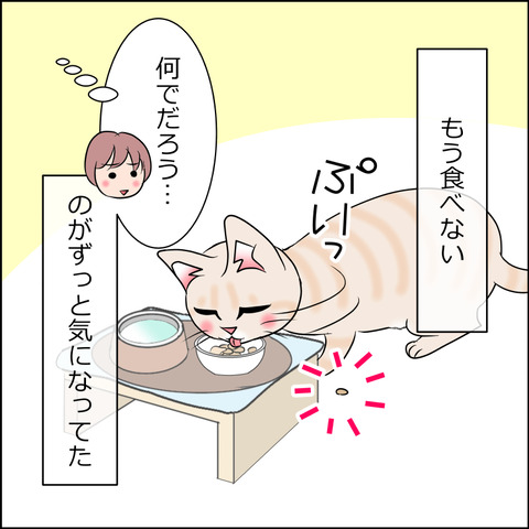 あんこ&麦STORY1979c
