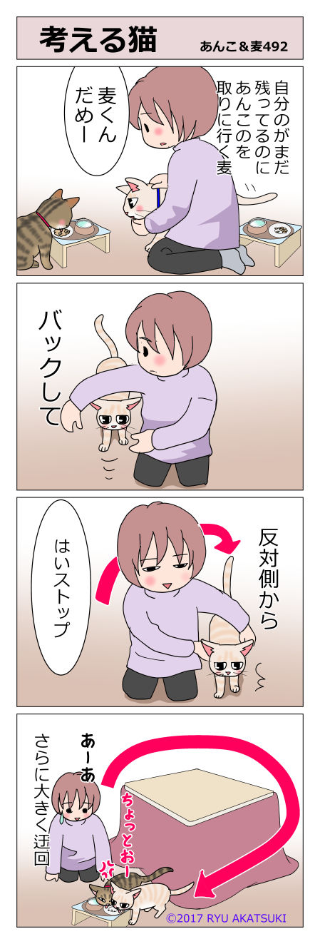 あんこ&麦STORY492