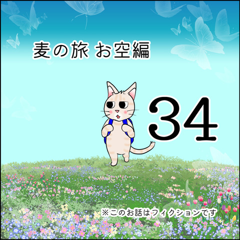mugitabix034@