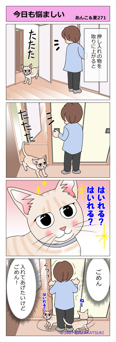 あんこ&麦STORY271
