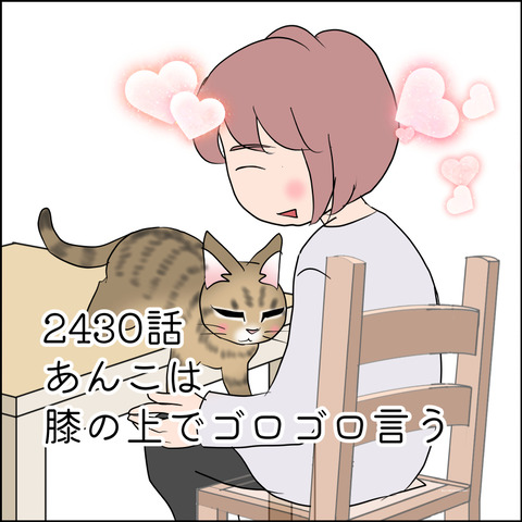 あんこ&麦STORY2430@