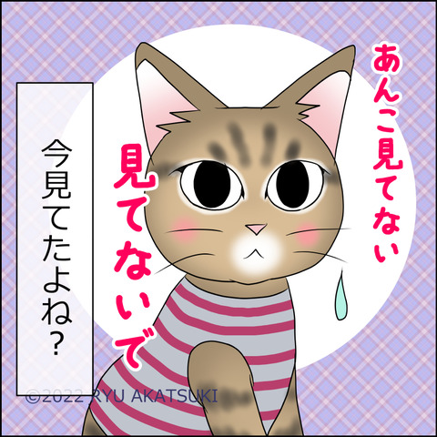 あんこ＆麦STORY1742d