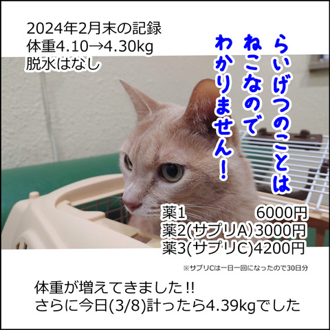 あんこ＆麦kenko94e