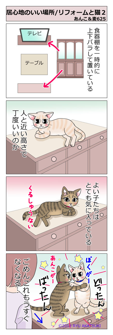 あんこ&麦STORY625