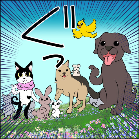 mugitabix006d