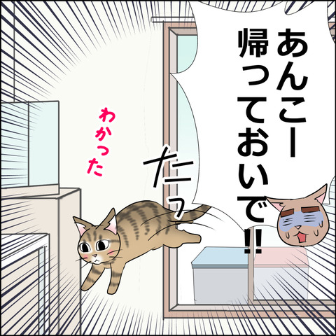 あんこ&麦STORY2482e