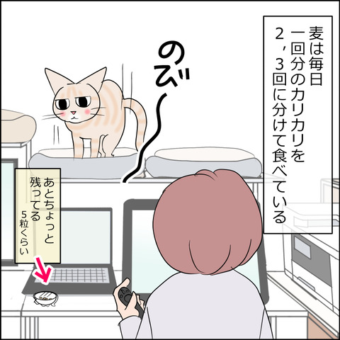 あんこ＆麦kenko115a