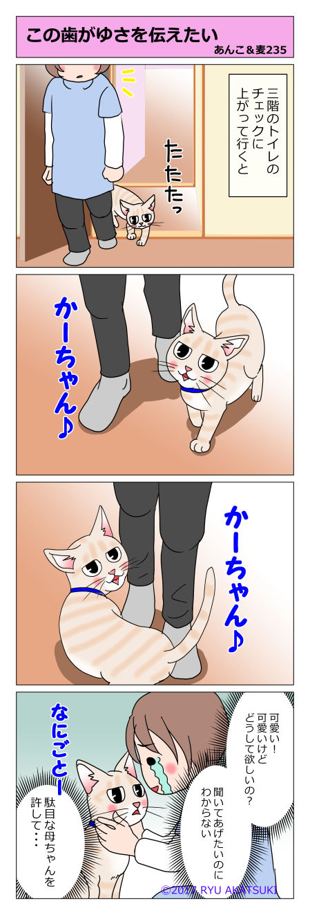 あんこ＆麦STORY235