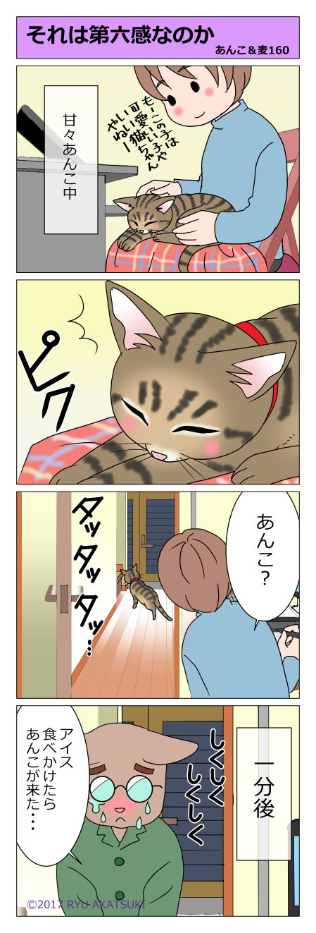 あんこ&麦STORY160