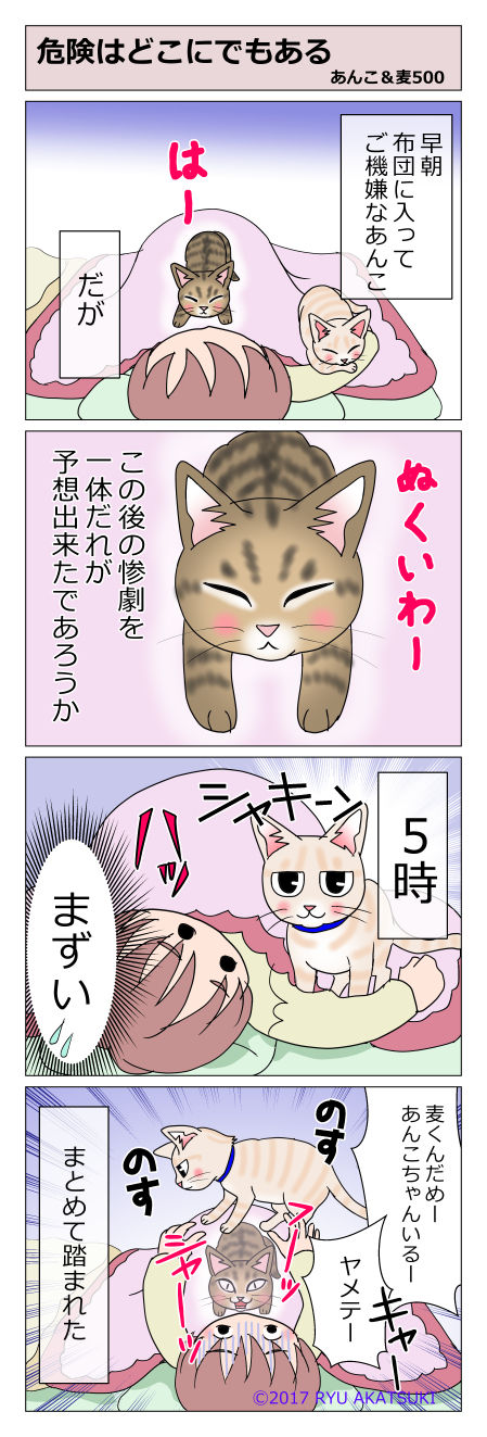 あんこ＆麦STORY500