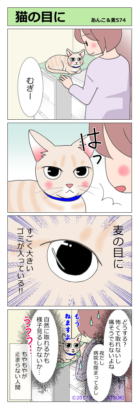 あんこ&麦STORY574