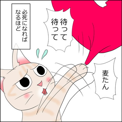 あんこ＆麦STORY2295c