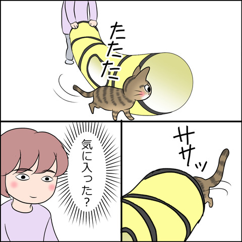 あんこ＆麦STORY1860c