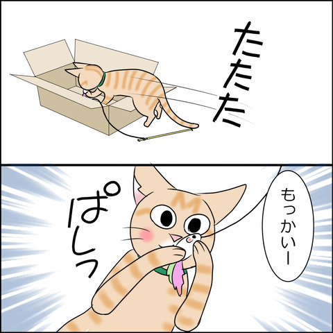 あんこ＆麦STORY1839b