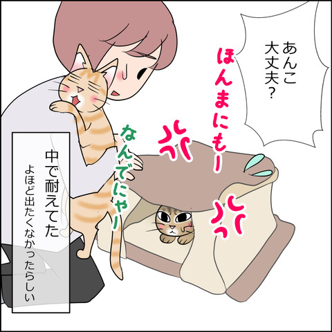 あんこ＆麦STORY2417d