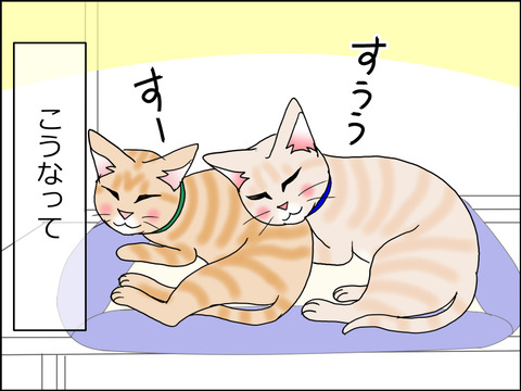 あんこ&麦STORY1518c