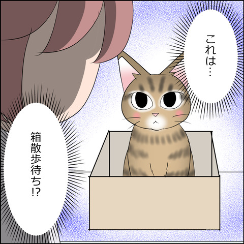 あんこ&麦STORY2211d