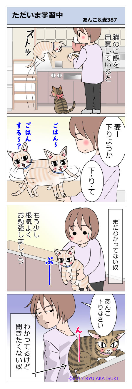 あんこ＆麦STORY387