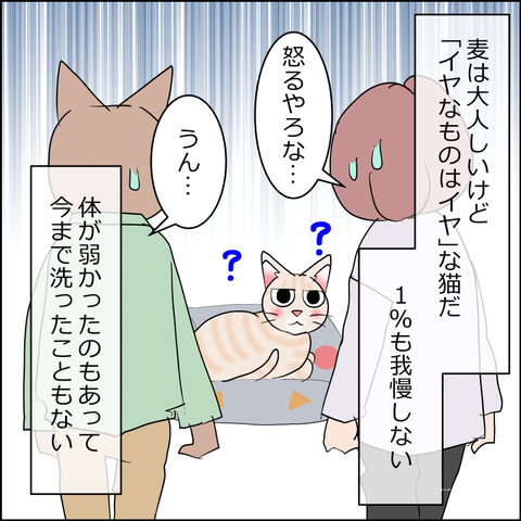あんこ＆麦kenko134a