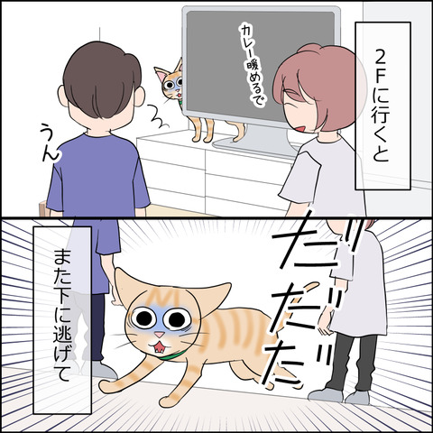 あんこ＆麦STORY2170c