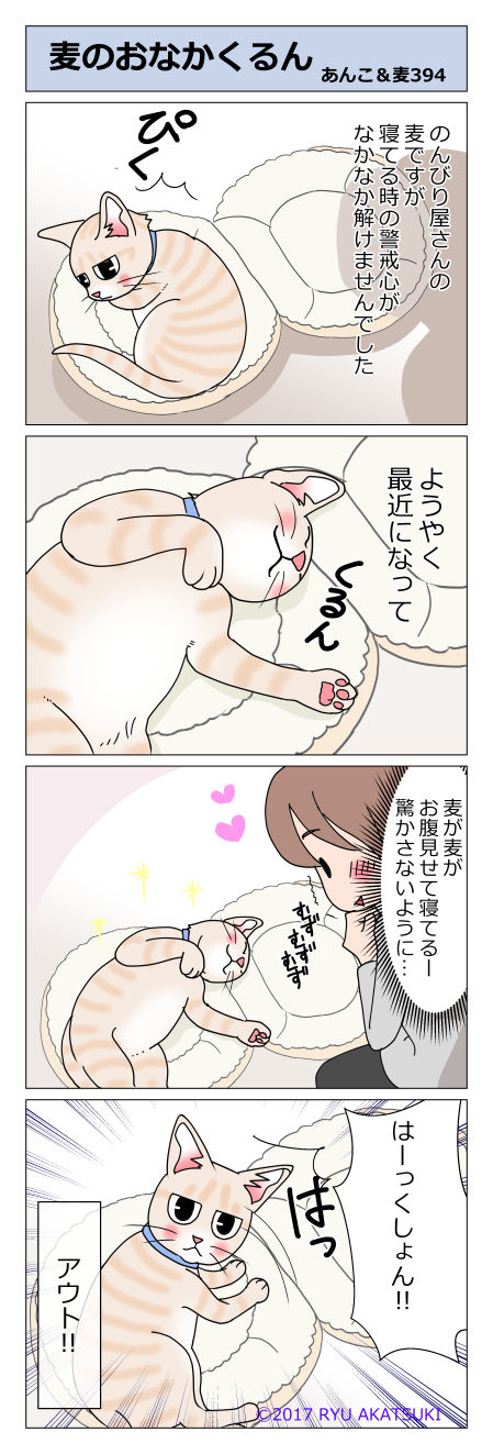 あんこ＆麦STORY394