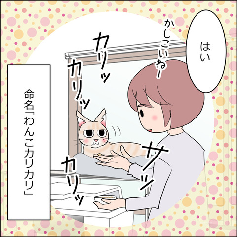 あんこ＆麦STORY2183d
