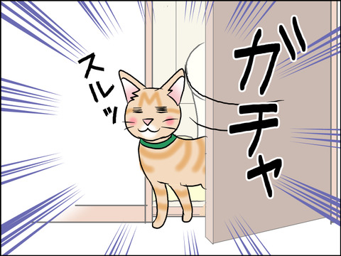 あんこ&麦STORY1590c