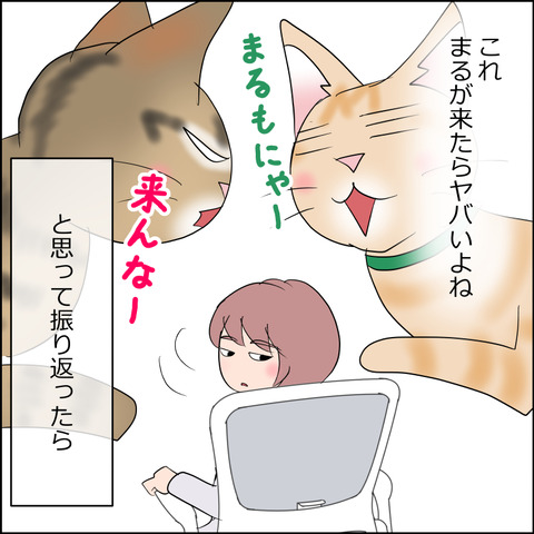 あんこ＆麦STORY2244b