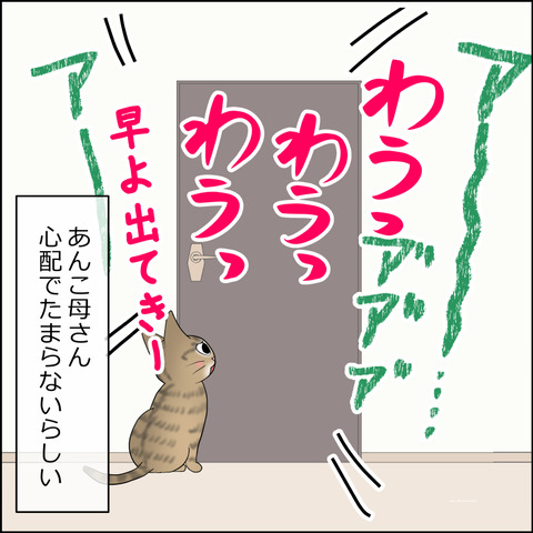 あんこ&麦STORY2323d