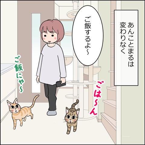 mugitabi002a