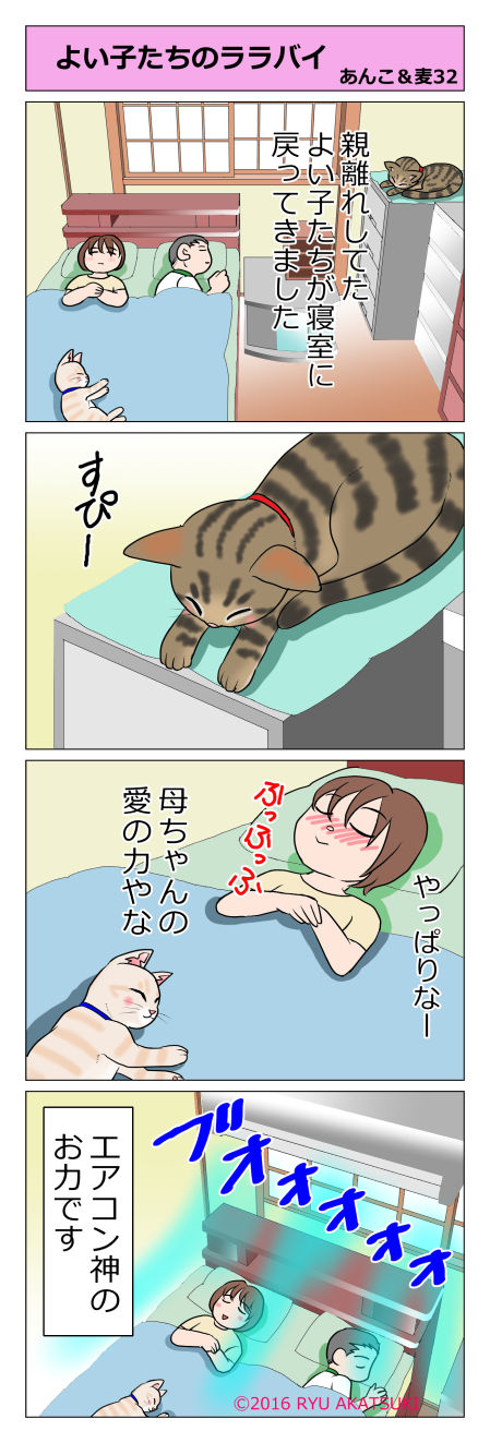 あんこ&麦STORY32