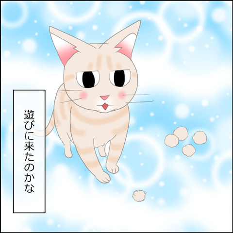 あんこ＆麦STORY2433d