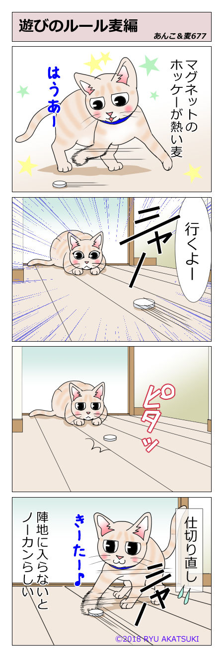 あんこ&麦STORY677