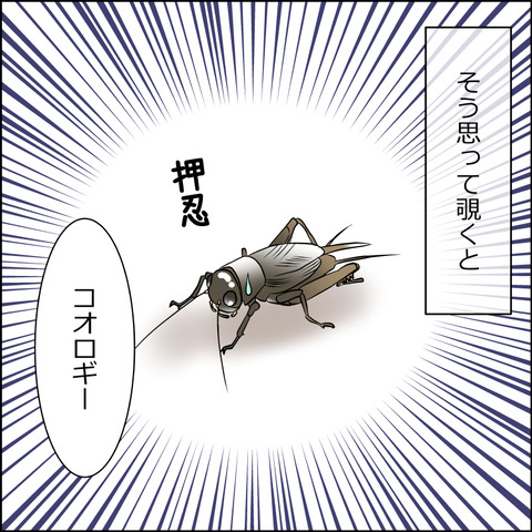 あんこ&麦STORY1957b