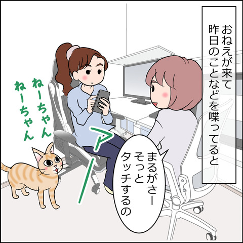 あんこ&麦STORY2373a