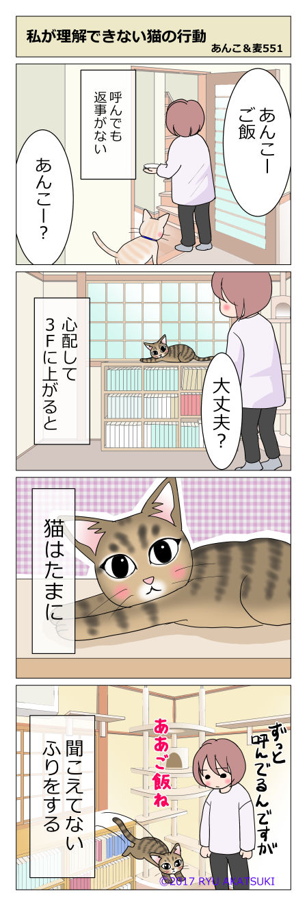 あんこ＆麦STORY551