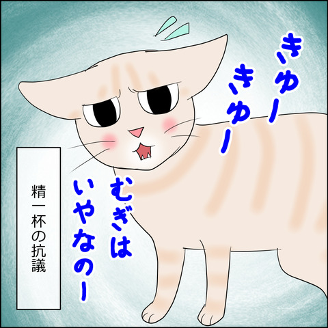 あんこ&麦STORY2272d