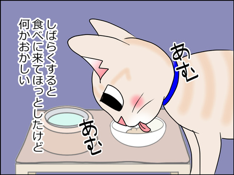 あんこ&麦kenko27c