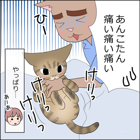 あんこ&麦STORY2347d