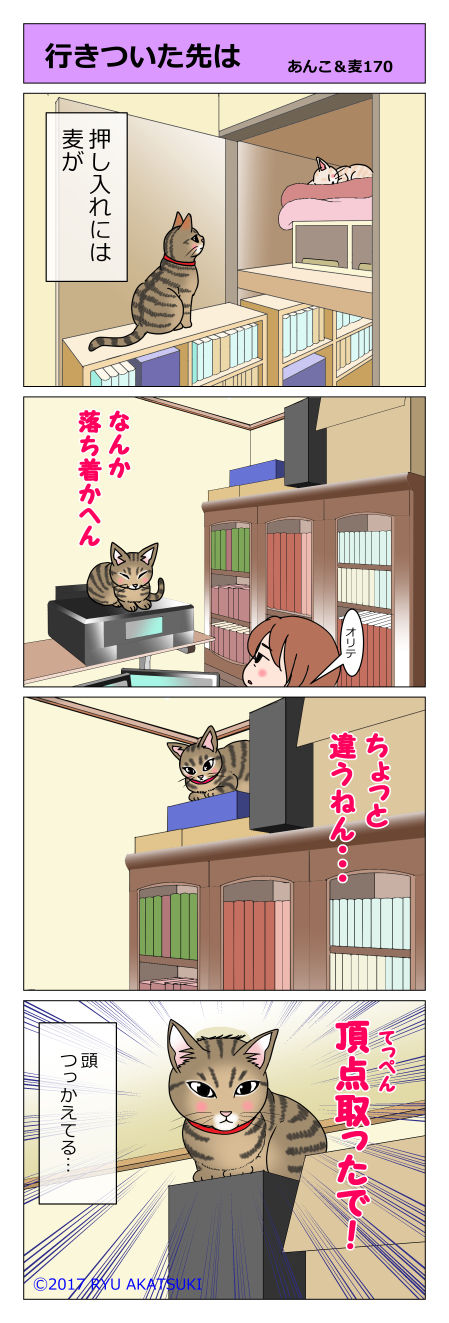 あんこ&麦STORY170