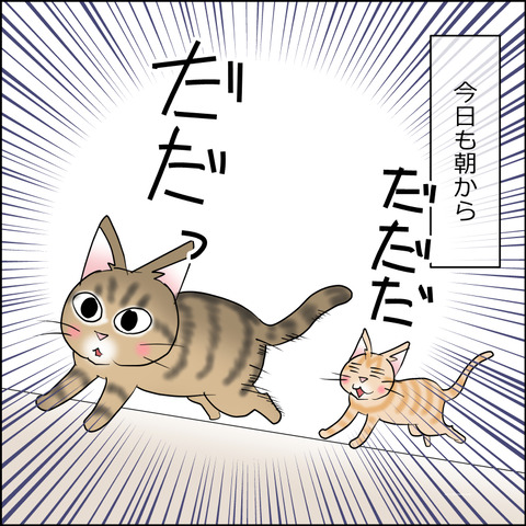 あんこ＆麦STORY2429a