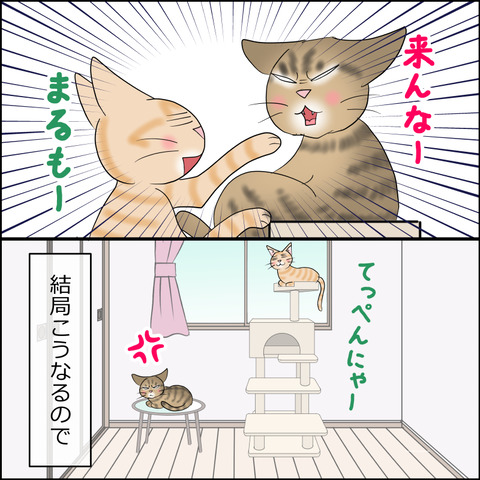 あんこ＆麦STORY2355b