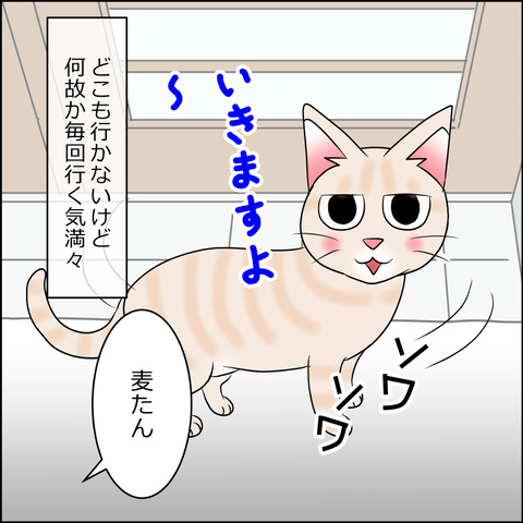 あんこ＆麦STORY2061c