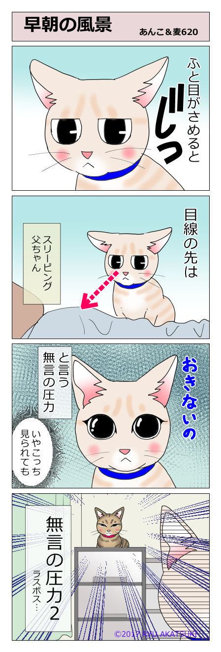 あんこ&麦STORY620
