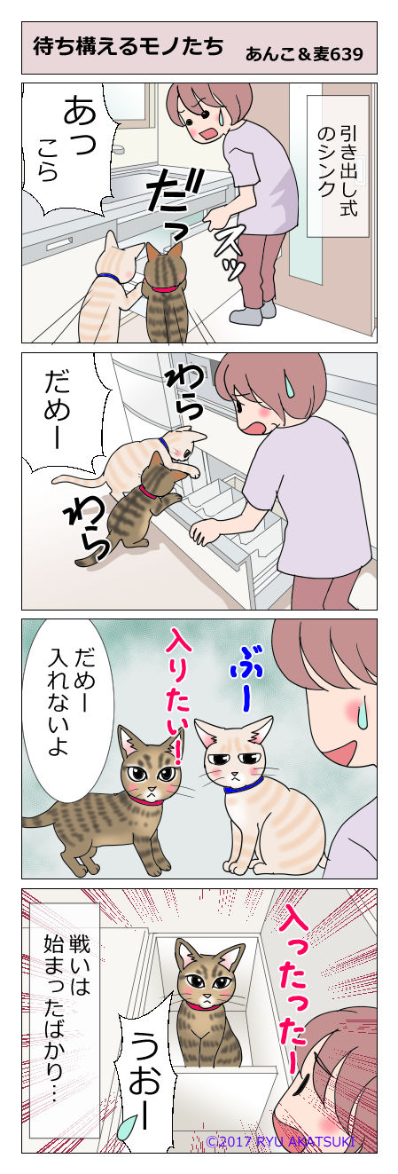 あんこ&麦STORY639